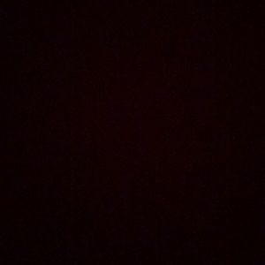 Meet your Posher, Irene